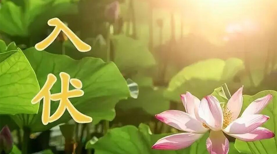 入伏天來襲！金環(huán)電器提醒大家要注意的事項(xiàng)