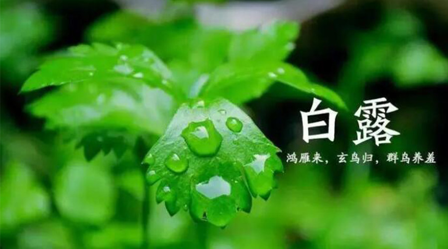 白露時節(jié)！金環(huán)電器提醒大家要注意的事項