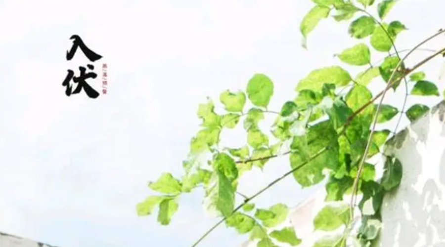 初伏時(shí)節(jié)！金環(huán)電器提醒大家要注意的事項(xiàng)